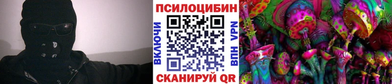Псилоцибиновые грибы Psilocybe Новочебоксарск