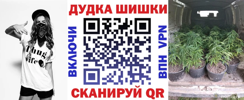 blacksprut ТОР  Новочебоксарск  Марихуана индика 